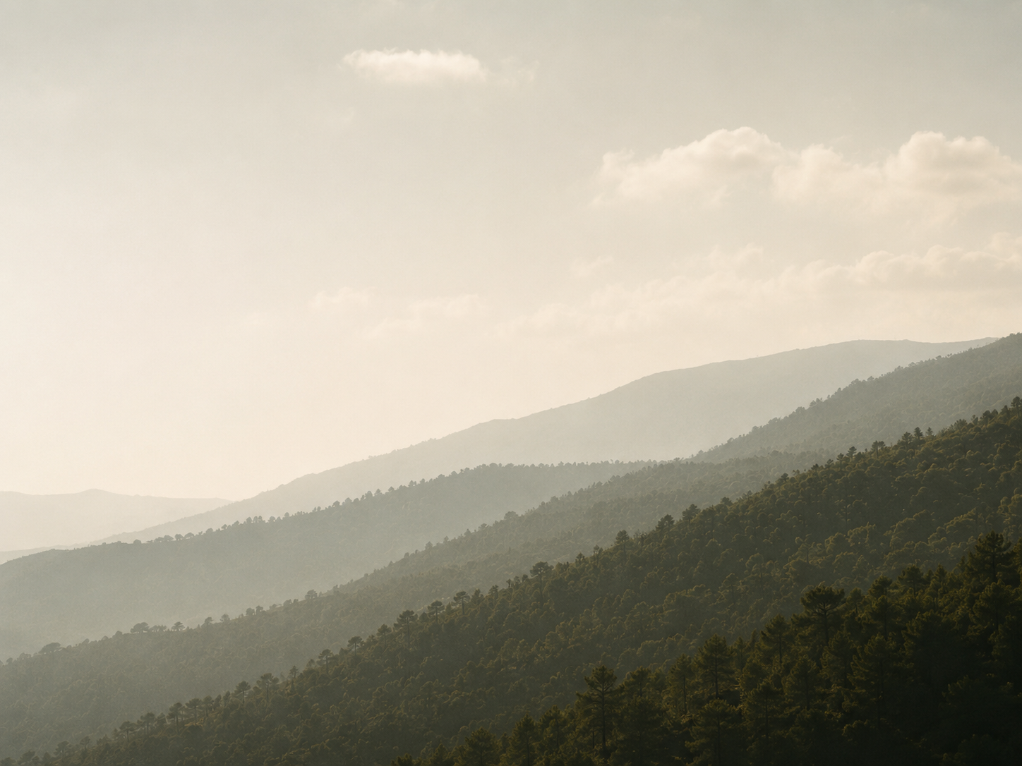 Sierra andaluza · fotografía de portada